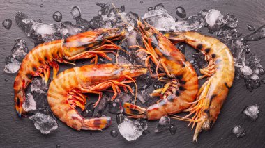 Taze soğumuş karidesler ya da buz küpleri arasındaki gri arka planda kaplan karidesleri..