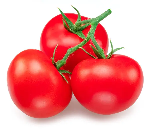 Kırmızı Campari domatesleri. Beyaz arka planda domates dalı izole edilmiş. Makro çekim.