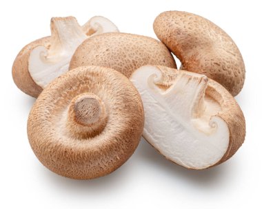 Shiitake - yenilebilir Asya mantarları ve beyaz arka planda izole edilmiş bok kesimleri. Dosya kırpma yolu içeriyor.
