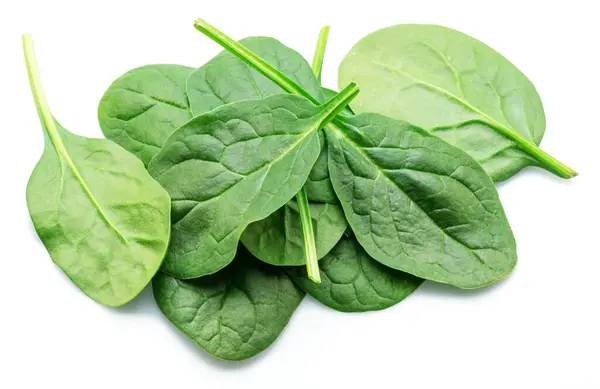 Beyaz arkaplanda yeşil taze ıspanak yaprakları.