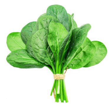 Beyaz arka planda izole edilmiş yeşil ıspanak yaprakları..