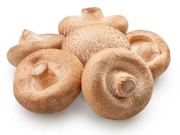 Shiitake - beyaz arka planda izole edilmiş yenilebilir Asya mantarları. Dosya kırpma yolu içeriyor.