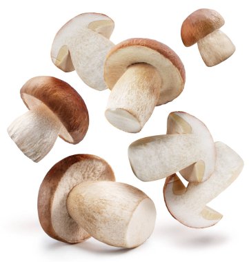 Porcini mantarları beyaz arka planda havada uçuşuyor. Yollar kırpılıyor.
