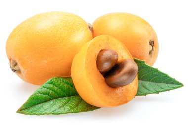 Ripe perfect loquat fruits with green leaves isolated on white background. clipart