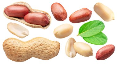 Set of peanut whole and cracked with leaves isolated on white background. File contains clipping paths. clipart