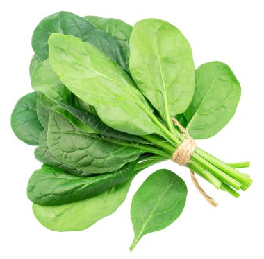 Beyaz arka planda izole edilmiş yeşil ıspanak yaprakları..