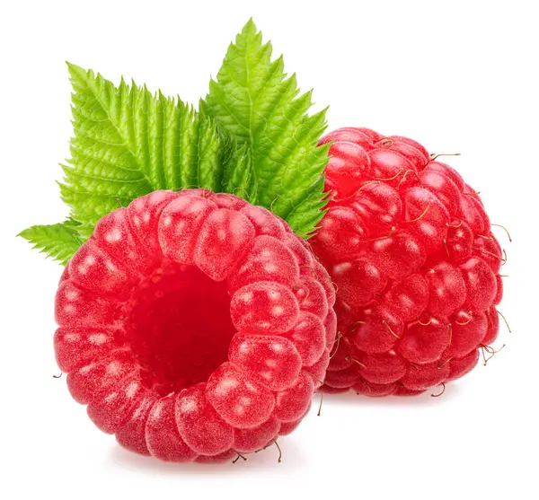 Beyaz arka planda yeşil yapraklı olgun ahududular..