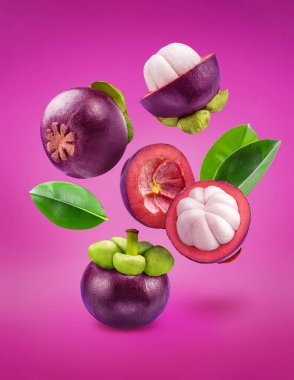 Mangosteen meyveleri ve mangosteen yarıları menekşe arka planda havada süzülüyor. Yollar kırpılıyor.
