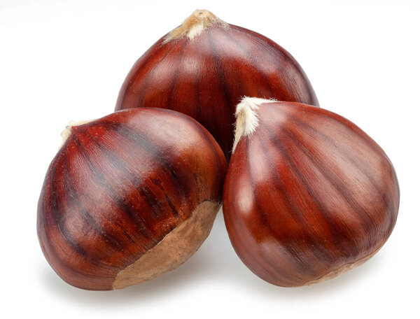 Сырые каштаны изолированы на белом фоне. Португальская традиционная закуска.