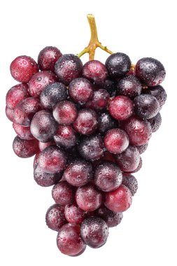 Cluster of red table grape covered with small water drops. File contains clipping path. clipart