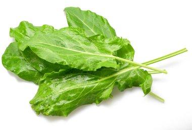 Taze kuzukulağı izole üzerinde beyaz arka plan bırakır.