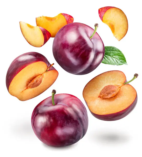 Olgun Çin eriği ve erik dilimleri beyaz arka planda havada uçuşuyor.. 