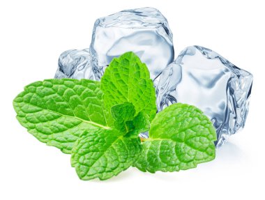 Yeşil taze nane ve beyaz zemin üzerinde izole buz küpleri.