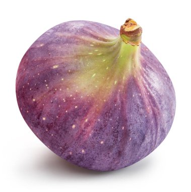 Beyaz arka planda bir incir meyvesi. Dosya kırpma yolu içeriyor.