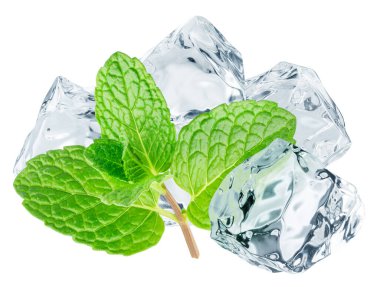 Beyaz zemin üzerinde yeşil nane yaprakları ve buz küpleri izole edilmiş. Dosya kırpma yolu içeriyor.