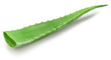 Beyaz arka planda Aloe Vera yaprağı. Dosya kırpma yolu içeriyor.