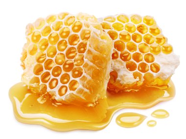 Beyaz arka planda bal birikintisinde taze bal dolu çiğ bal petekleri.