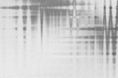 Arıza. Soyut şekiller. Kaos. Piksel. Siber punk. Bilgisayar ekranı hatası. Dijital tasarım. Piksel sesi. Sanal. Televizyon sinyali kesildi. Fütürist. Arıza geçmişi. Renkli hata çizgileri soyut arkaplan