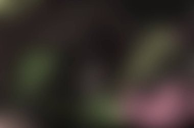 Bulanık kumlu gradyan arkaplan dokusu. Renkli dijital tahıl yumuşak ses efekti deseni. Lo-fi çok renkli eski model. VHS Arıza Dokusu