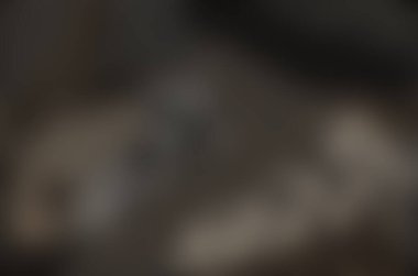 Bulanık eğimli arkaplan. Renkli yumuşak pankart şablonu. Bilgisayar ekranı duvar kağıdı. Basit Gradyan