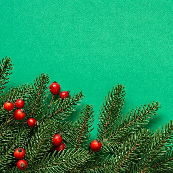 Δαχτυλίδια Fir Τριανταφυλλιές Πράσινο Φόντο Χριστούγεννα Και Νέο Έτος Έννοια Εικόνα Αρχείου