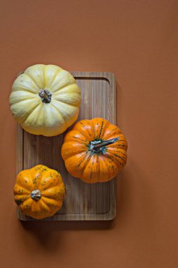 Portakal (terracotta) arka planında tahta bir tepside dekoratif balkabakları. Şenlik dekorunun unsurları. Tatil beklentisiyle sonbahar havası. Üst görünüm.