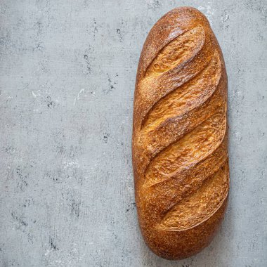 Açık gri (mavi) arka planda taze pişmiş ekmek. Geleneksel taze ekmek, uzun rulo şeklinde..