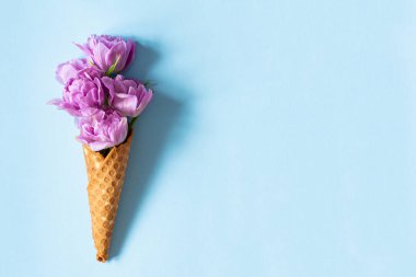 Mavi arka planda laleleri olan waffle külahı. Çiçekli dondurma, ilkbahar konsepti ilk çiçeklerle.