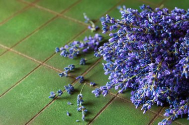 Yeşil desenli arka planda bir buket taze lavanta. Şifalı bitkilerin hoş kokulu çiçeği, kopyalama alanı.