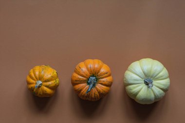 Turuncu (terracotta) arka planda dekoratif balkabakları. Şenlik dekorunun unsurları. Tatil beklentisiyle sonbahar havası. Üst görünüm.