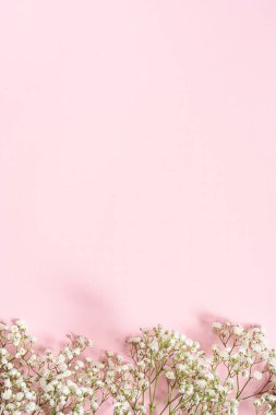 Köşedeki pembe arka planda beyaz çingene buketi..