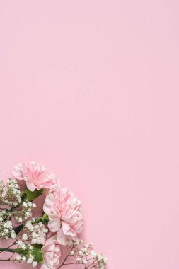 Köşedeki pembe arka planda beyaz çingene buketi ve pembe karanfiller.