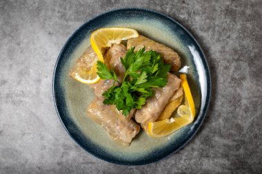 Karanlık arka planda lahana dolması. Türk mutfağı aperatifleri. Üst Manzara. Kapat.