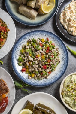 Geleneksel Türk ve Yunan yemek aperatifleri. Akdeniz aperatif konsepti. Çiğ köfte, kızarmış patlıcan salatası, doldurulmuş zeytin, dolma biber, gavurdagi salatası.