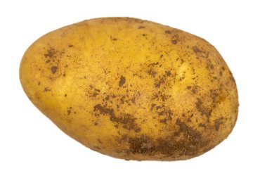 Patates, beyaz arka planda izole edilmiş. Organik patatesler. Kesme yolu, tam alan derinliği