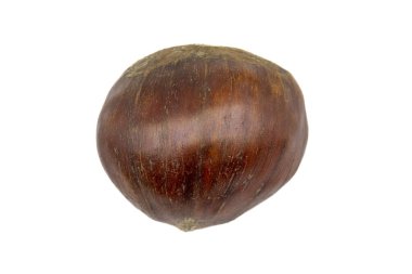 Kestane rengi beyaz bir arka planda izole edilmiş. Kırpma Yolu. Tam alan derinliği. Kapat.