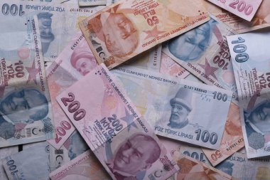Türk banknotları. Dene ya da öl. Sayı makro. 5,10,20,200 Türk Lirası.