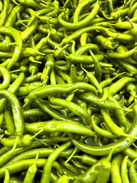 Fresh harvested green chili peppers. Pile of organic green peppers. close up. food background