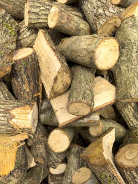 Tahta parçaları kes. Büyük bir odun yığını. Ağaçlar kesilip odun haline getirilerek şöminelerde ve fırınlarda ısıtma için yakıt olarak kullanıldı. Kapat.