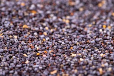 Mavi haşhaş tohumu. Baharat konsepti. Mavi haşhaş tohumundan yapılmış bir arka plan. Kapat.