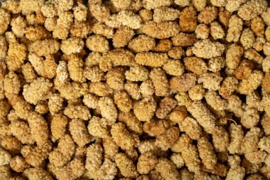 Kurutulmuş dut. Kurutulmuş beyaz dut meyveleri, yiyecek arka planını kapatır. Üst Manzara. Doku. Boşluk afişini kopyala