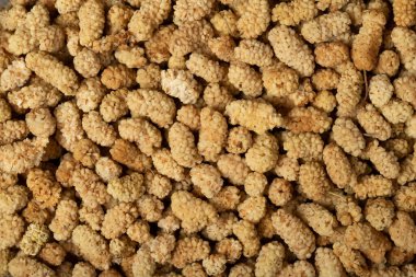 Kurutulmuş dut. Kurutulmuş güneşte kurutulmuş dutlu yakın çekim yiyecek arka planı. Üst Manzara. Doku. Boşluk afişini kopyala