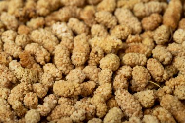 Kurutulmuş dut. Kurutulmuş güneşte kurutulmuş dutlu yakın çekim yiyecek arka planı. Doku. Boşluk afişini kopyala