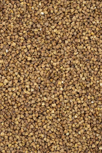 Pile Buckwheat Grains Background Spice Seasoning Background Close Buckwheat — Stock Photo, Image