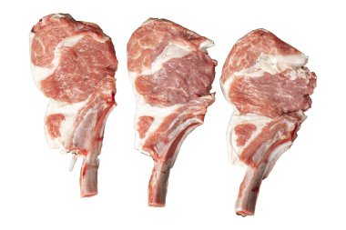 Beyaz arka planda çiğ kuzu pirzolası. Baharatlı ve otlu taze çiğ kuzu pirzolası. Üst görünüm