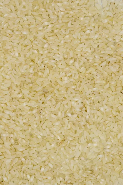 Pile Raw Rice Background Legumes Background Close Uncooked Dry Rice — Stock Photo, Image
