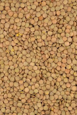 Arka plan olarak yeşil mercimek yığını, arka plan olarak baklagiller. Çiğ yeşil mercimek yakın plan. Üst görünüm