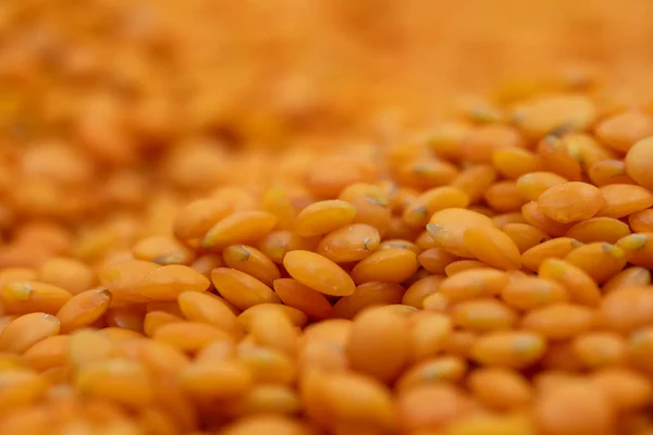 Pile of red lentils as background, legume as background. close-up of raw red lentils