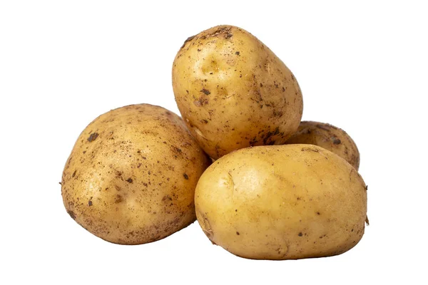 Kartoffeln Isoliert Auf Weißem Hintergrund Frische Rohe Kartoffeln Erntezeit Konzept — Stockfoto