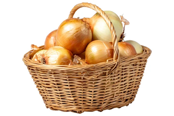Fresh Raw Onion Basket Isolated White Background Onion Harvest Season — Stock Photo, Image